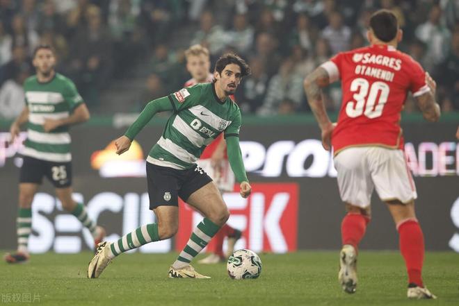 article中文翻译-开云体育服务