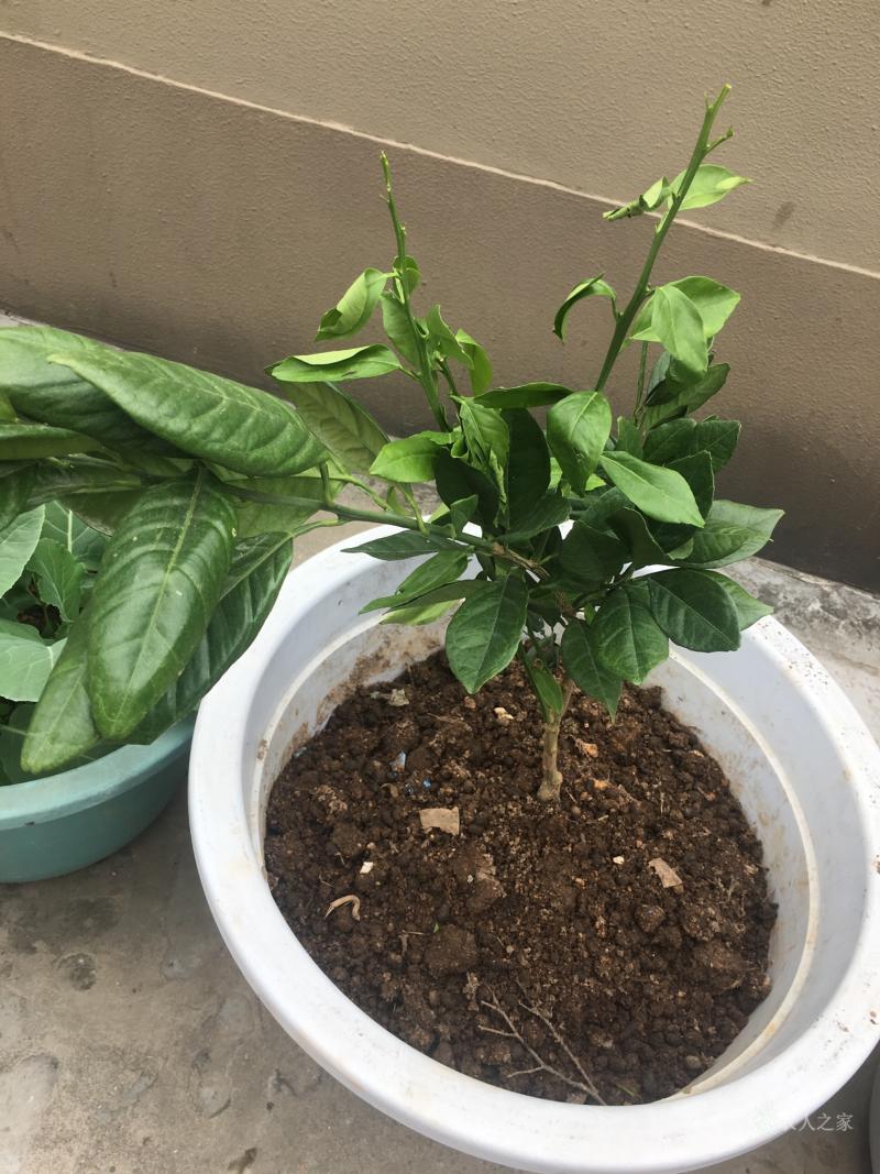 的简单介绍-开云体育官网